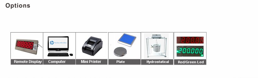 BL-H2 Portable Type of Precision Balances 05