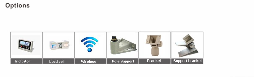 DVL 404 Wireless Weighing Scale 03