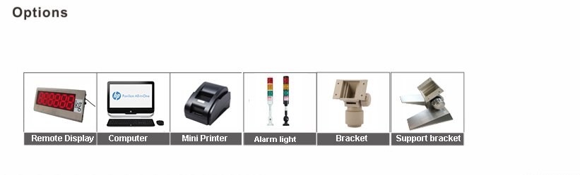 DVL Large LCD High Quality Economy Platform Scales