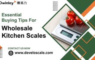 Essential Buying Tips For Wholesale Kitchen Scales