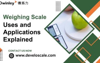 Weighing Scale Uses and Applications
