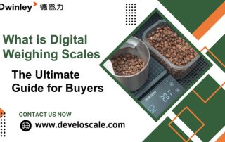 What is Digital Weighing Scales