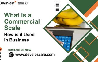 What is a Commercial Scale