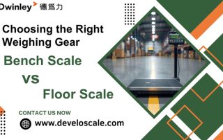 Choosing the Right Weighing Gear Bench Scale vs Floor Scale