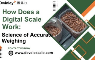How Does a Digital Scale Work Science Behind Accurate Weighing