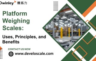 Platform Weighing Scales Uses, Principles, and Benefits
