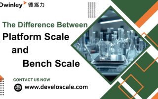 The difference between a platform scale and a bench scale