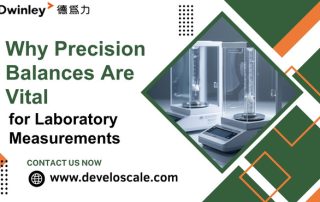Why Precision Balances Are Vital for Laboratory Measurements