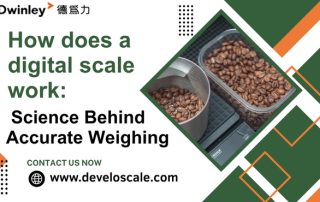 how does a digital scale work Science Behind Accurate Weighing