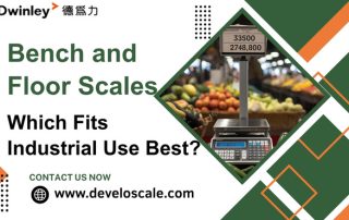 Bench and Floor Scales Which Fits Industrial Use Best