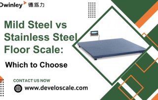 Mild Steel vs Stainless Steel Floor Scale Which to Choose