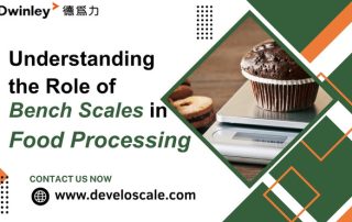 Understanding the Role of Bench Scales in Food Processing