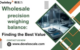 Wholesale precision weighing balance Finding the Best Value